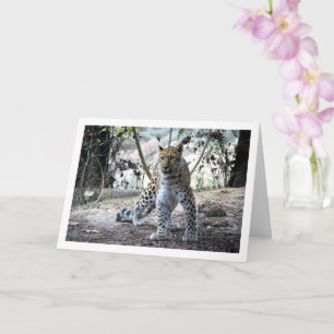 Leopard in Forest Card