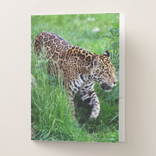 Leopard in grass pocket folder