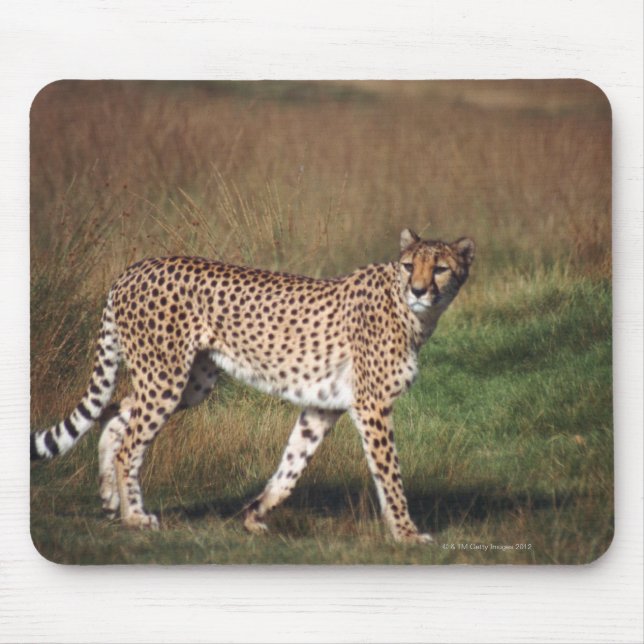 Leopard in plain mouse pad (Front)
