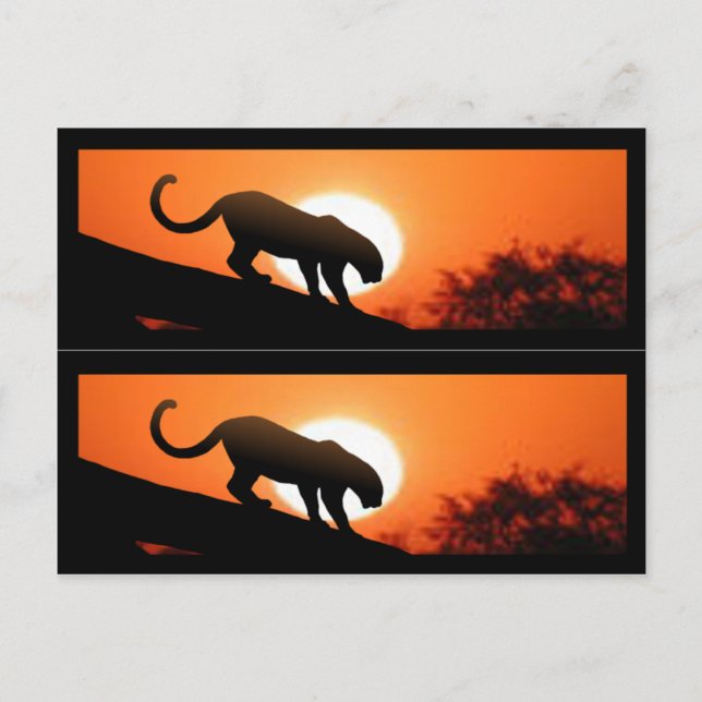 Leopard in Tree bookmarks Postcard (Front)