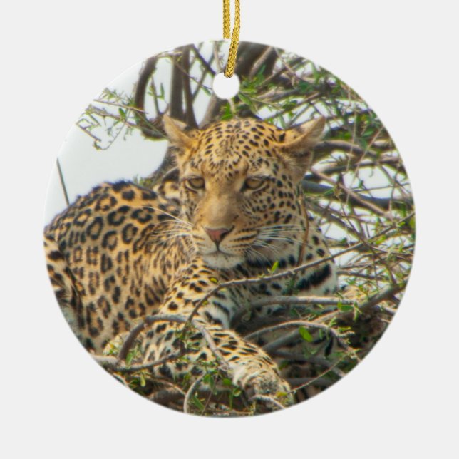 Leopard in Tree Ceramic Ornament (Front)