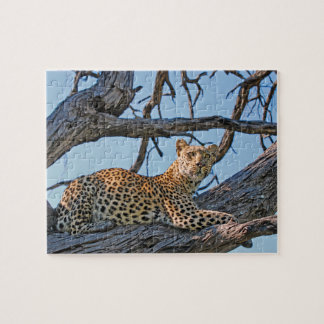 Leopard Jigsaw Puzzles | Zazzle