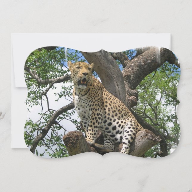 Leopard Invitation (Front)