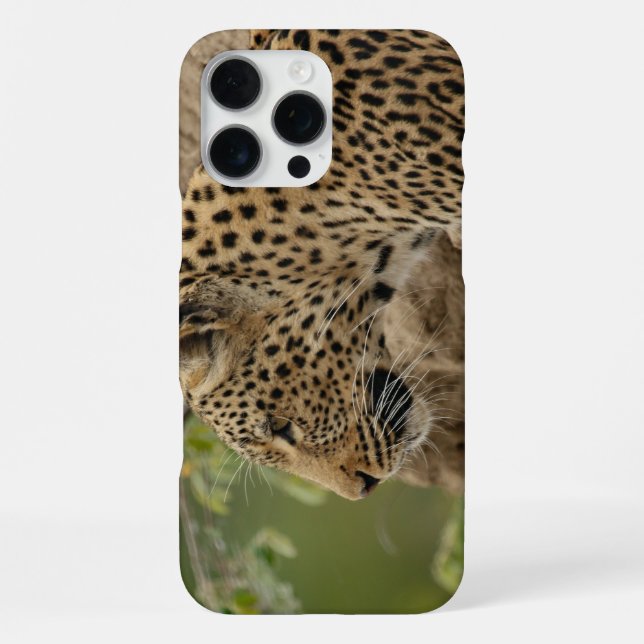 Leopard  iphone case (Back)