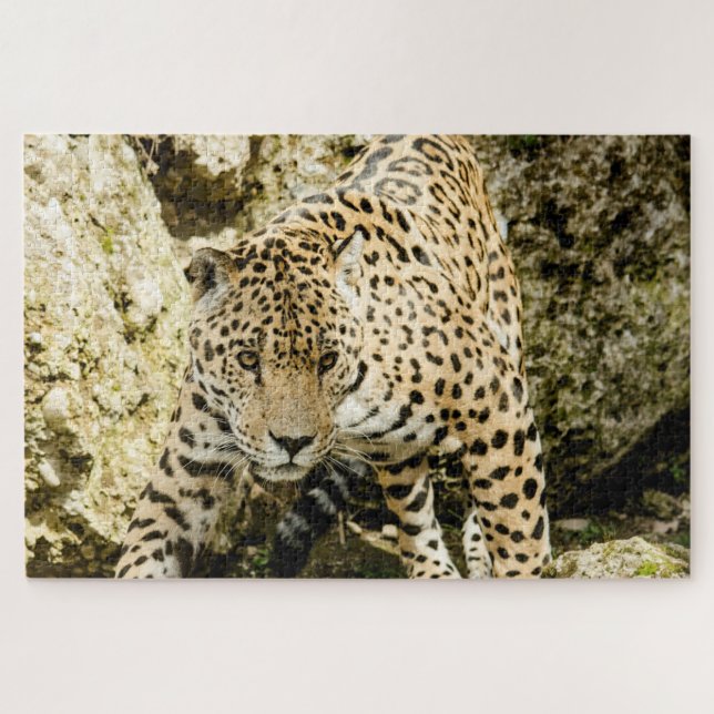 Leopard Jigsaw Puzzle (Horizontal)