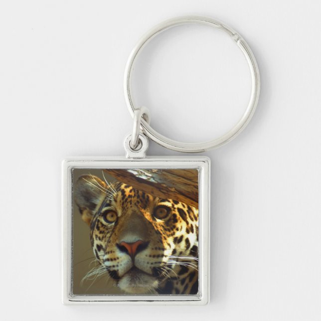 Leopard Keychain (Front)