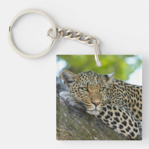 Leopard Keychain