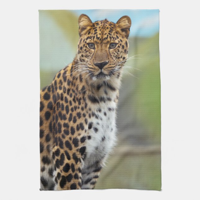 Leopard Kitchen Towel (Vertical)