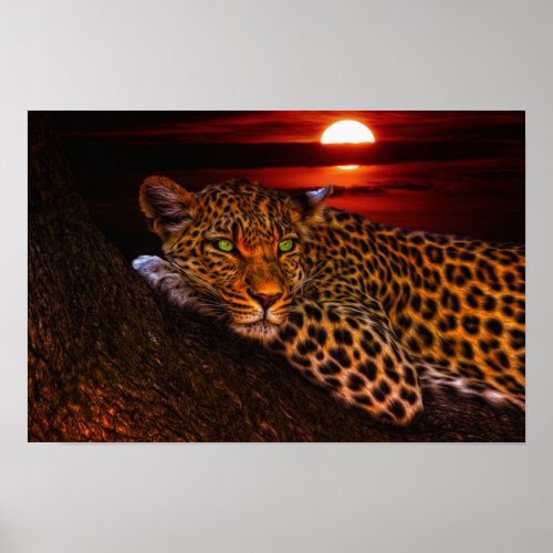 leopard kitty poster