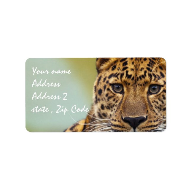 Leopard Label (Front)