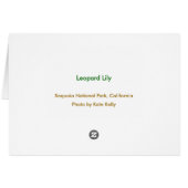 Leopard lily, Sequoia National Park Cards (Back Horizontal)
