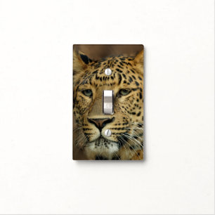 Leopard Lovers Art Light Switch Cover