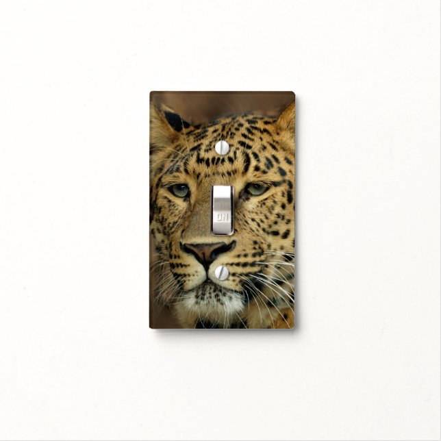 Leopard Lovers Art Light Switch Cover (In Situ)