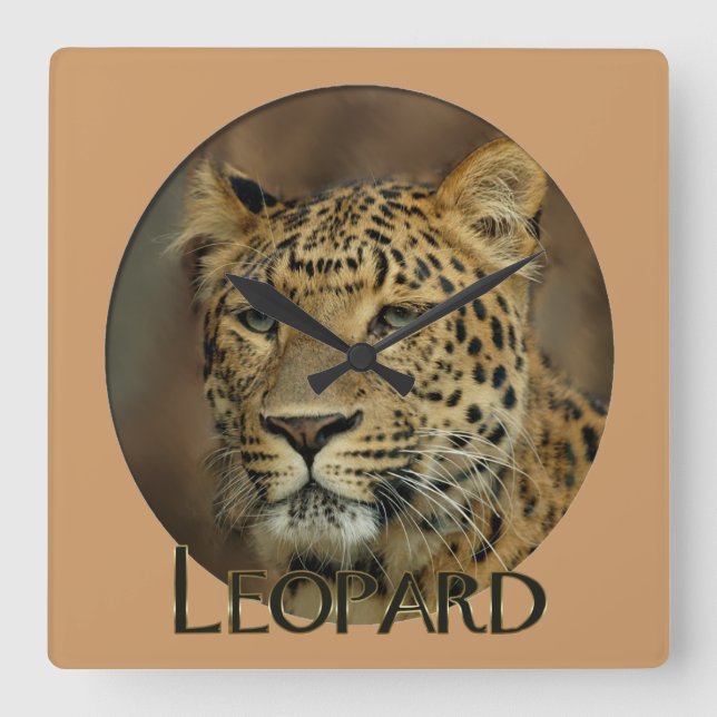 Leopard Lovers Art Square Wall Clock (Front)