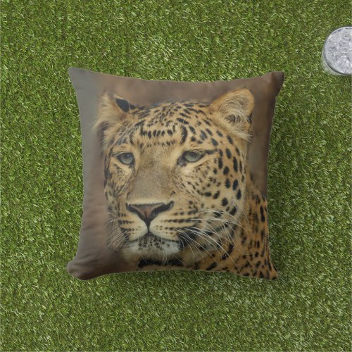 Leopard Lovers Wildlife Outdoor Pillow
