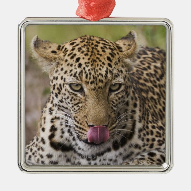 Leopard Metal Ornament (Front)