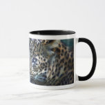 Leopard Moon Mug