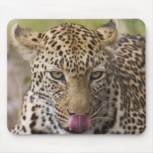 Leopard Mouse Pad (Front)