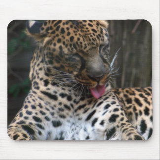 Leopard Mouse Pad