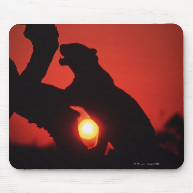 leopard mouse pad (Front)