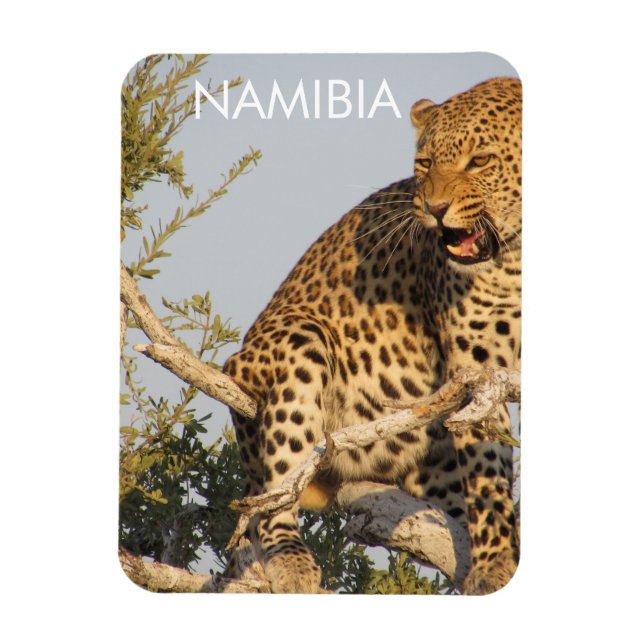 Leopard, Namibia Magnet (Vertical)