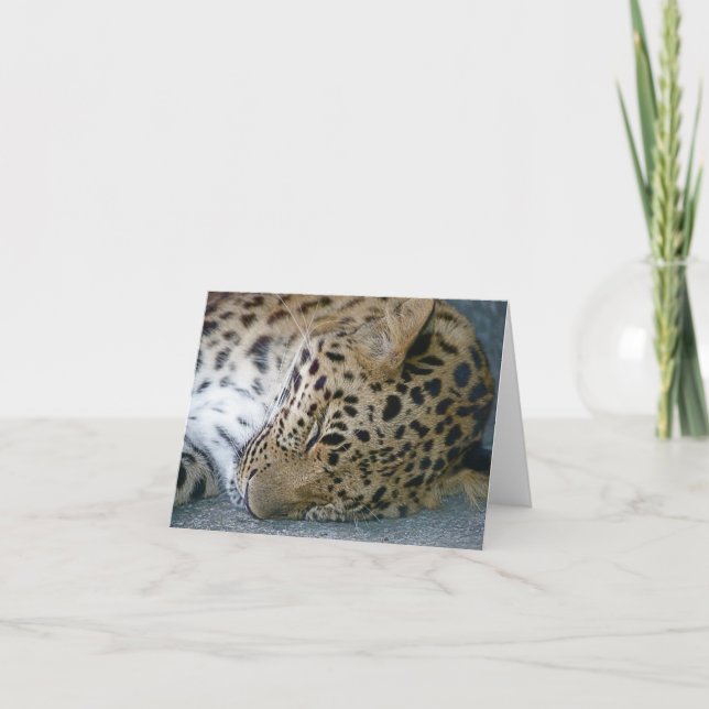 Leopard Note Card (Front)