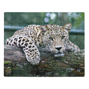 Leopard on a Log Jigsaw Puzzle