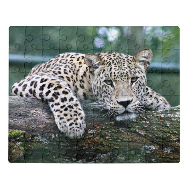 Leopard on a Log Jigsaw Puzzle (Puzzle Horizontal)