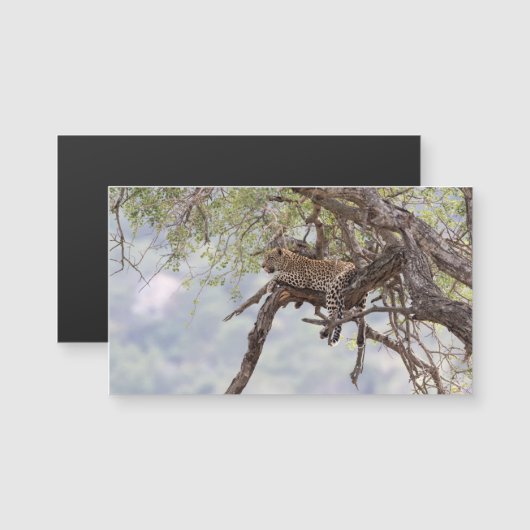 Leopard on a tree (Front/Back)