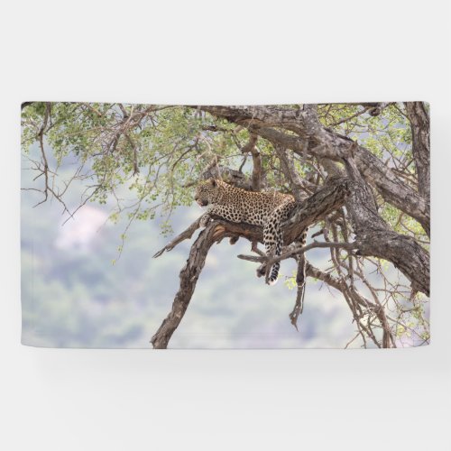 Leopard on a tree banner