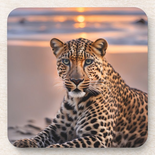 Leopard on the beach beverage coaster (Front)