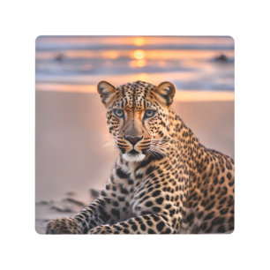 Leopard on the beach metal print
