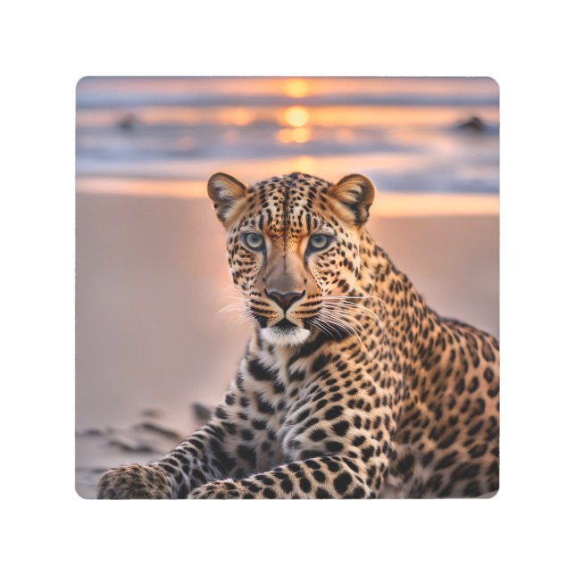 Leopard on the beach metal print (Front)