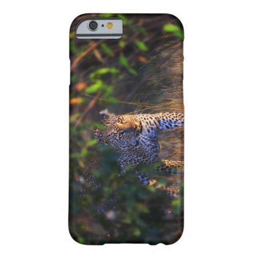 Leopard Panthera Pardus as seen in the Masai Barely There iPhone 6 Case