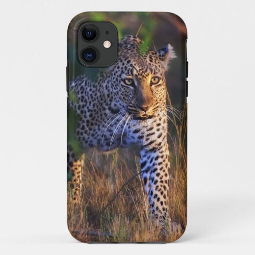 Leopard Panthera Pardus as seen in the Masai iPhone 11 Case