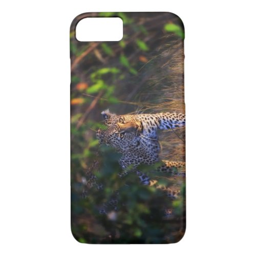 Leopard Panthera Pardus as seen in the Masai iPhone 87 Case