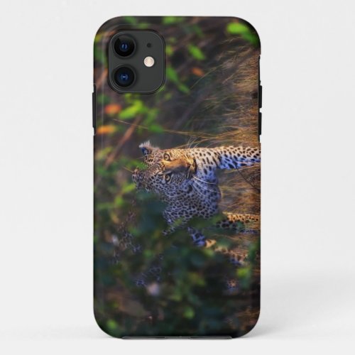 Leopard Panthera Pardus as seen in the Masai iPhone 11 Case