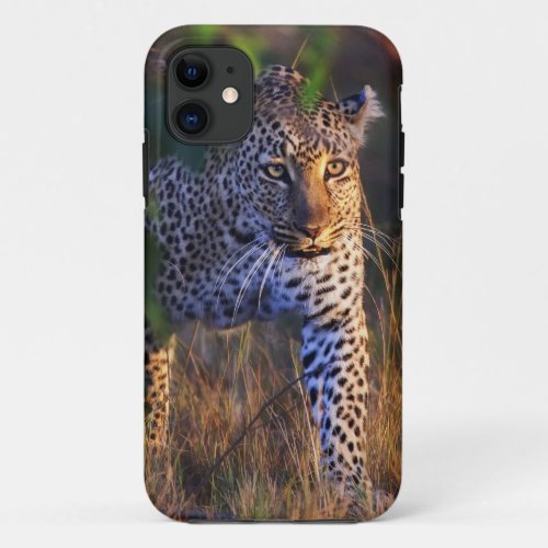 Leopard Panthera Pardus as seen in the Masai iPhone 11 Case