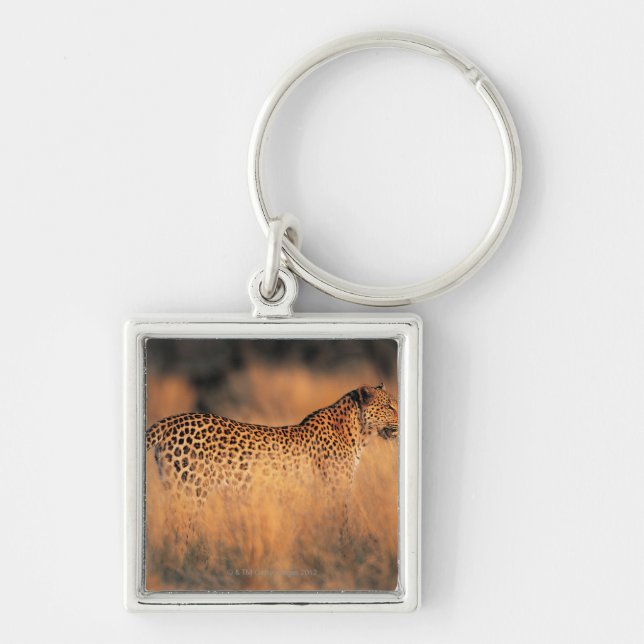 Leopard (Panthera pardus) Keychain (Front)