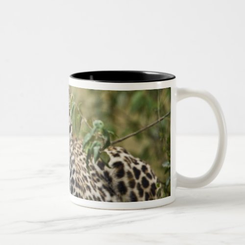 Leopard Panthera pardus Masai Mara Game Two_Tone Coffee Mug