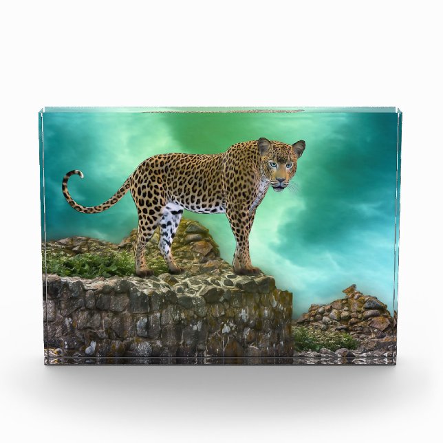 Leopard  Photo Block (Front)