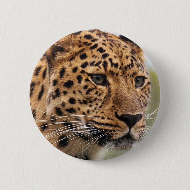 Leopard Photo Button (Front)