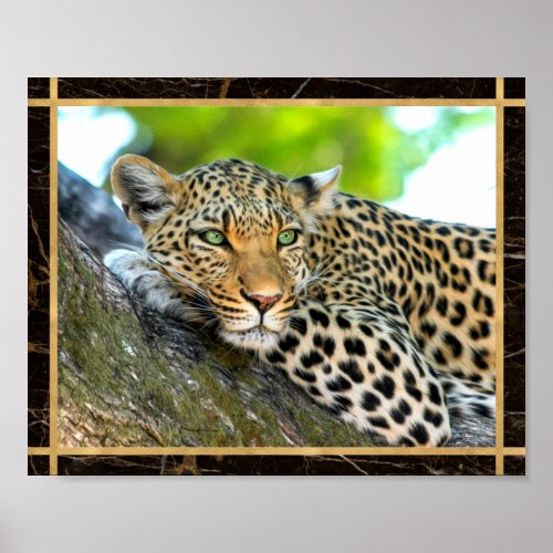 Leopard Photo Image Print Poster