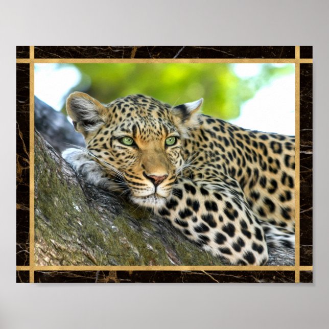 Leopard Photo Image Print Poster (Front)