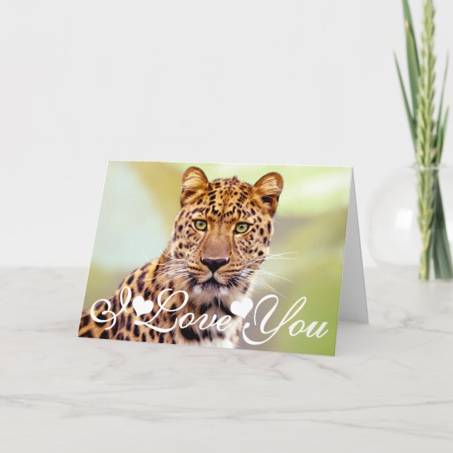 Leopard Photograph Image I Love You Card (Front)