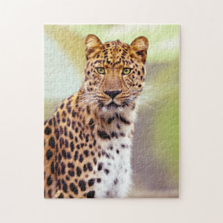 Leopard Photograph Image Jigsaw Puzzle