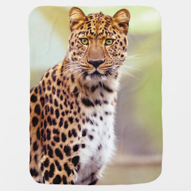 Leopard Photograph Swaddle Blanket (Front)