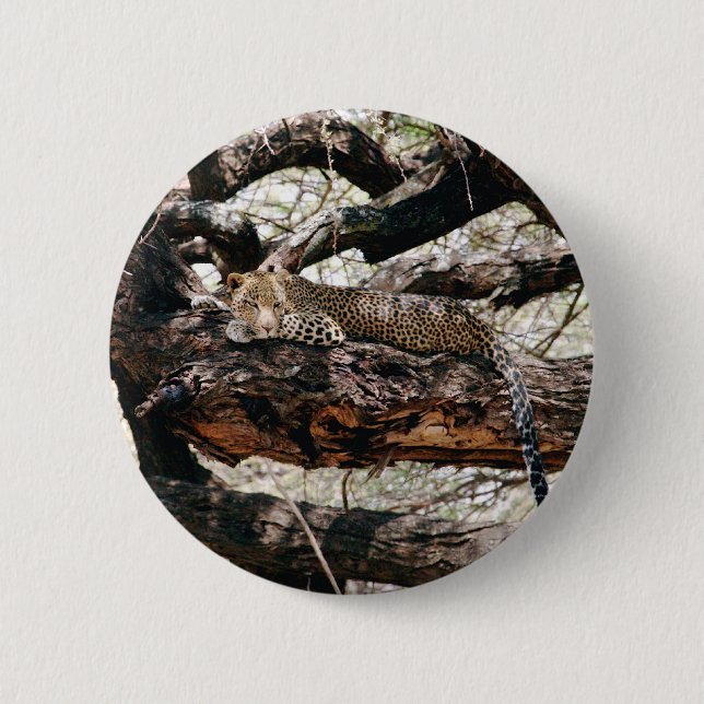 Leopard Pinback Button (Front)