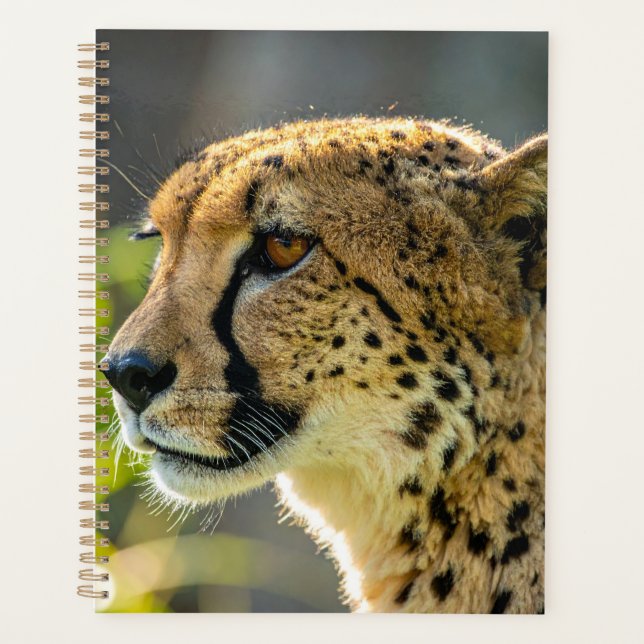 leopard planner (Front)