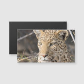 Leopard portrait (Front/Back)